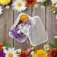 thumbnail image 2 of asddcavvf 1 Box Real Dried Flower Resin Fillings Expoxy Flower For Epoxy Resin Jewelry Making Craft DIY Supplies Accessories (Forget Me Not), 2 of 7