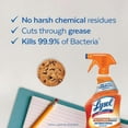 thumbnail image 2 of Lysol Antibacterial Kitchen Cleaner, Kitchen-Pro Power Degreaser, Unbeatable Grease Cutting, 650 mL, 2 of 4
