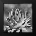 thumbnail image 2 of Phillip, Jamie 15x15 Black Modern Framed Museum Art Print Titled - Artichoke 2, 2 of 5