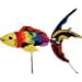thumbnail image 3 of Premier Kites Spinner Arc-en-Ciel Koi, 3 of 3
