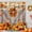 Barn Door, variant on Fall Shower Curtain, Rustic Autumn Pumpkins Wood Barn Door Sunflowers Thanksgiving Harvest Farmhouse Bathroom Decor, Waterproof Cloth Fabric Bath Curtain with Hooks 72 x 72 inch