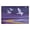 Seagulls and the Beach, variant on 32"x20" Door Mat Mat Absorbent & Non-Slip Entryway Rug Washable Floor Mat Dog with Heart-shaped Glasses