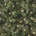 thumbnail image 3 of ARBOL DE NAVIDAD VERMONT VERDE C/260 LUCES LED CALIDA DE 190CM NAVIPLASTIC PINO ARTIFICIAL, 3 of 3