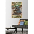 thumbnail image 2 of Star Wars: The Mandalorian - Feed Me Wall Poster with Push Pins, 22.375" x 34", 2 of 3