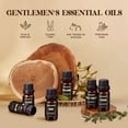 thumbnail image 5 of Aeshory Gentlemen's Fragrance Oils Set For Diffuser, Skin Care, Humidifier, Candle and Soap Making - 10ml*6 Pack, 5 of 6