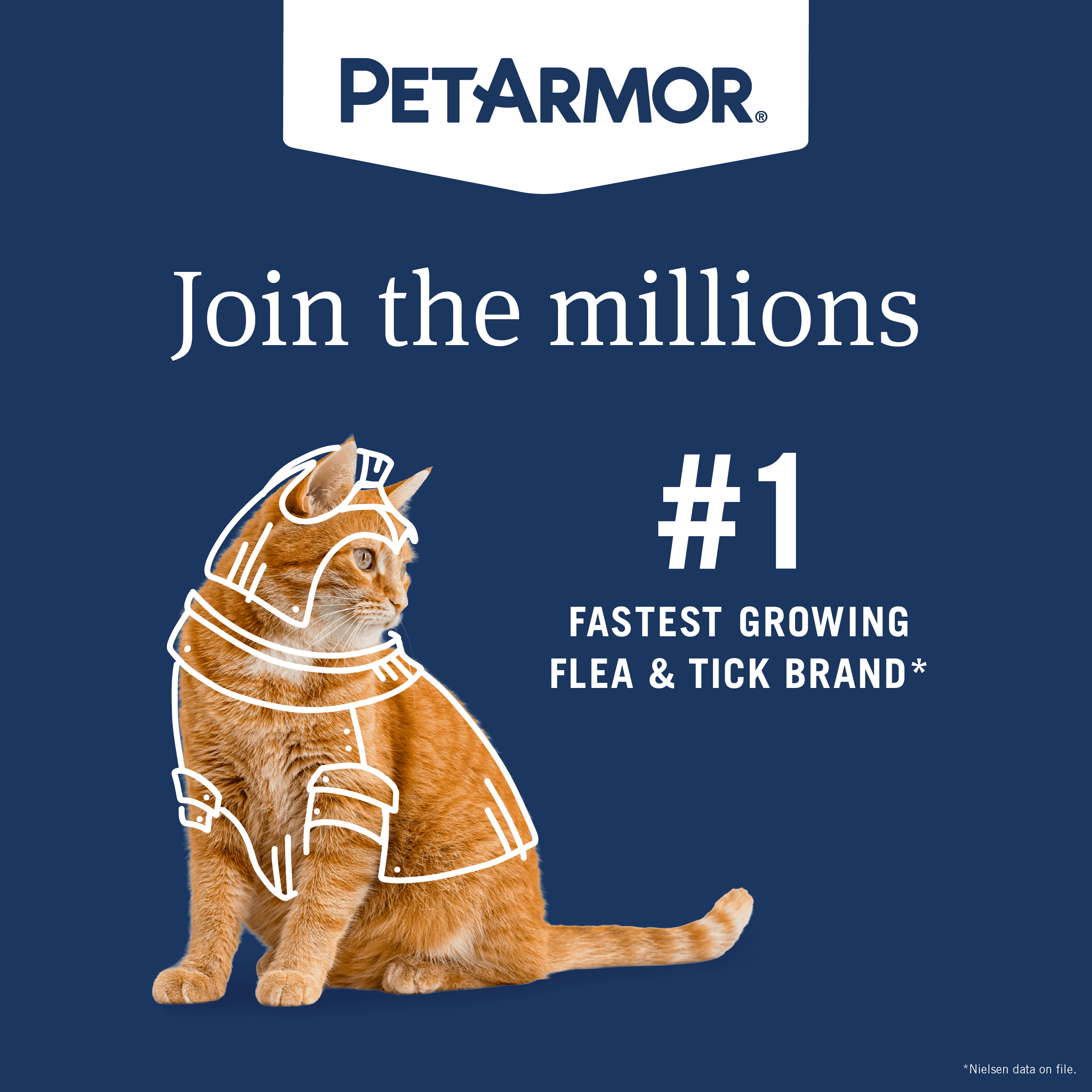 PetArmor Extend Flea & Tick Treatment & Prevention Collar for Cats, 8 Months of Protection, 1 Count