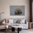 thumbnail image 5 of Leopard Tortoise Turtle South Africa Canvas Poster Bedroom Decor Sports Landscape Office Room Decor Gift,Frame-style,20x30inch(50x75cm), 5 of 8
