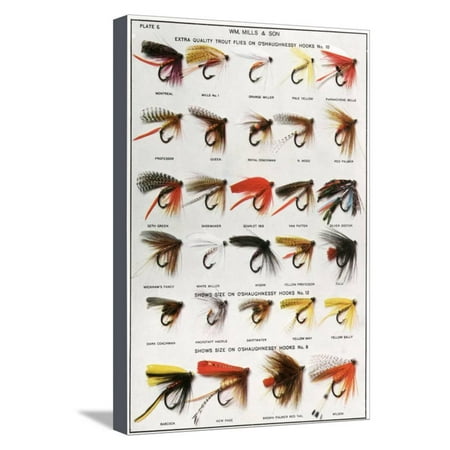 Fishing Flies (American) Stretched Canvas Print Wall