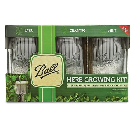 Ball Herb Growing Self-Watering Kit, 3-pack (Best Home Herb Garden Kit)