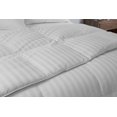 Beautyrest 300TC Arctic Fresh Cotton Down Comforter in Multiple Sizes