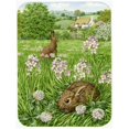 thumbnail image 1 of Carolines Treasures ASA2026LCB Leveret And Momma Rabbit Glass Cutting Board, Large, 1 of 1