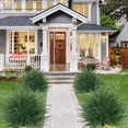 thumbnail image 4 of Waipfaru Set of 2 Artificial Cedar Topiary Tree, 24inch Outdoor Fake Plants with Stakes,UV Resistant Faux Shrubs for Front Porch Planter Backyard Decor, 4 of 9