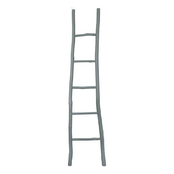 Desert Fields Decorative Wood Ladder