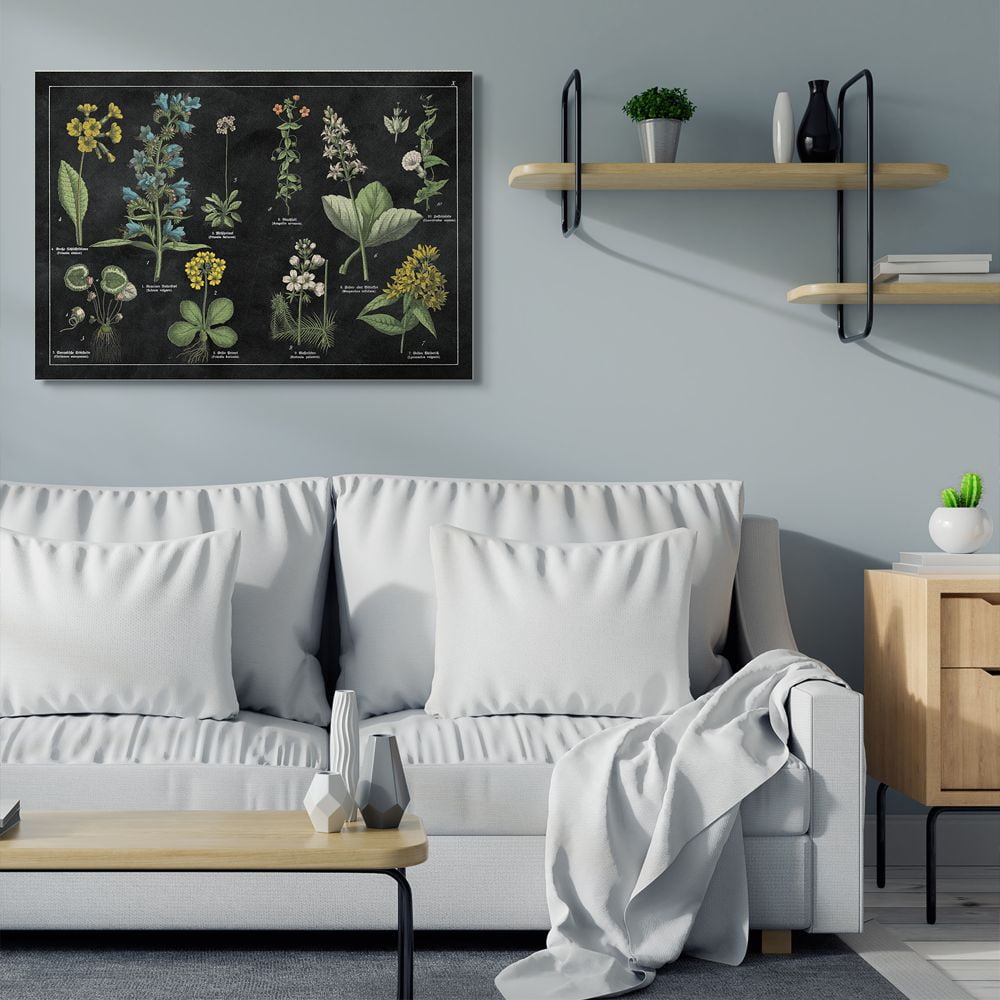 Stupell Industries Antique Wild Flower Chart Scientific Botanical Print Canvas Wall Art Design by Wild Apple Portfolio, 36" x 48"