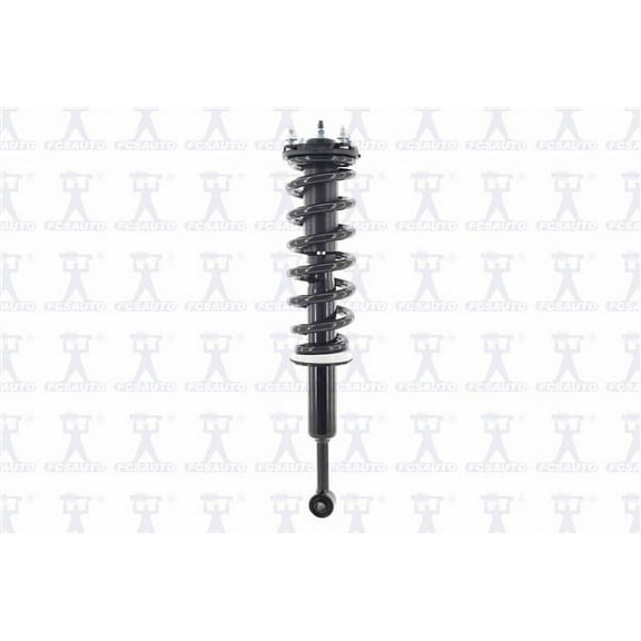 Suspension Strut and Coil Spring Assembly