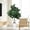 6FT, variant on Ataujin Artificial Trees, Artificial Fiddle Leaf Fig Plant Indoor, Faux Fig Tree with White Planter Tall Fake Floor Plant in Pot with Natural Wood Trunk for Home Office Living Room