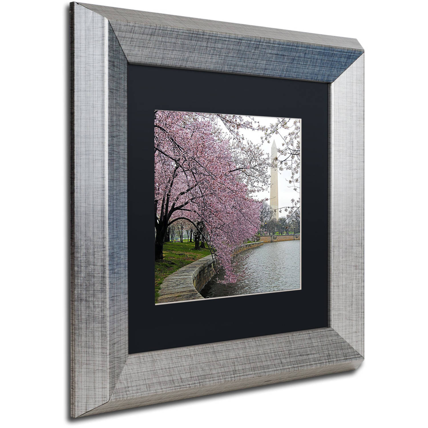 Trademark Fine Art "Washington Blossoms" Canvas Art by CATeyes, Black Matte, Silver Frame