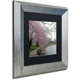 thumbnail image 2 of Trademark Fine Art "Washington Blossoms" Canvas Art by CATeyes, Black Matte, Silver Frame, 2 of 4