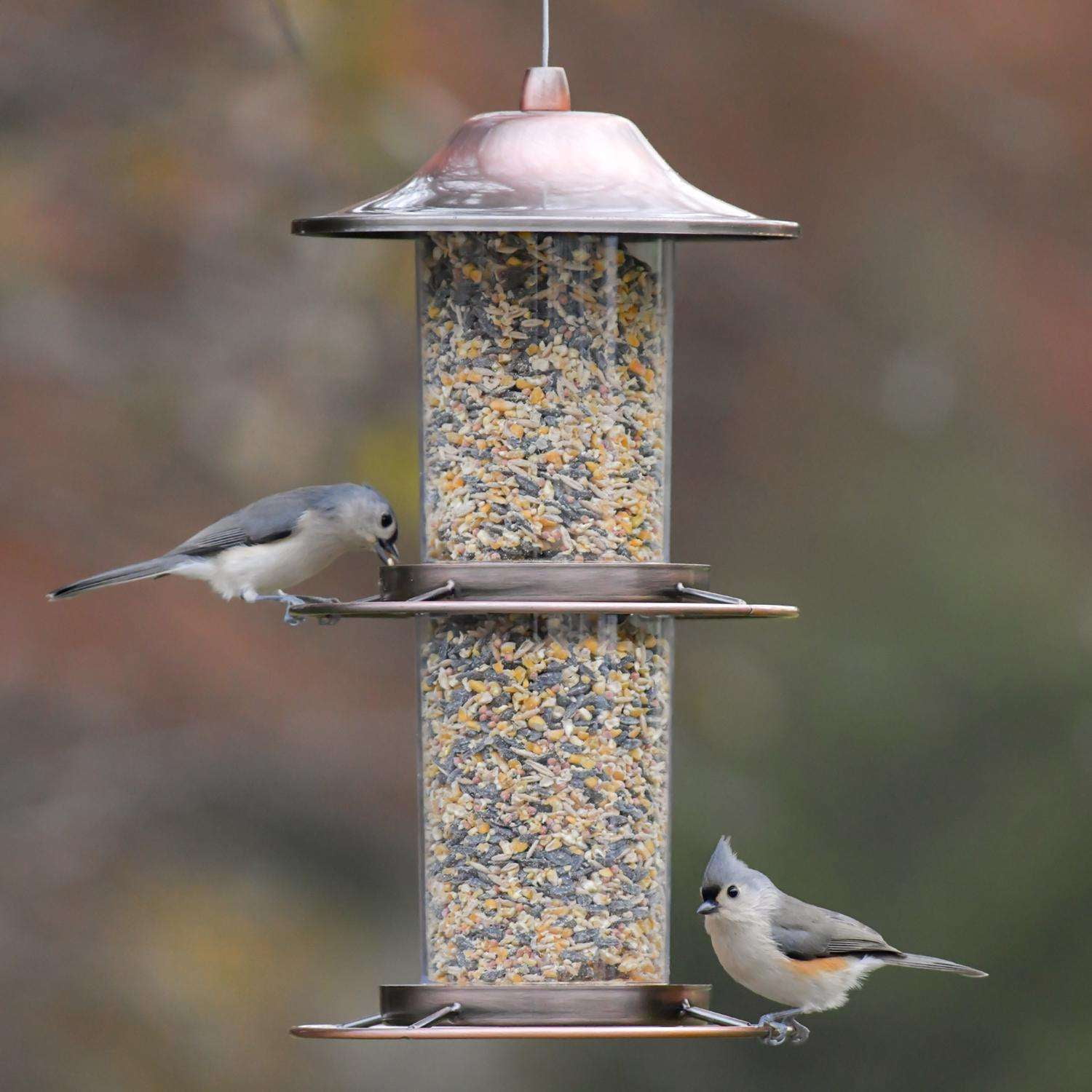 Perky-Pet 8039814 4.5 lbs Wild Bird Copper Panorama Bird Feeder, 2 Ports