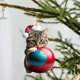 thumbnail image 1 of SGACAI Adorno de árbol de Navidad con forma de gatito, acrílico, divertido adorno de gato, colgantes para colgar, 1 of 7