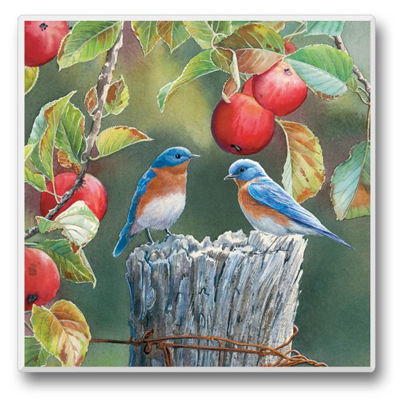 Absorbent Stone Tumbled Tile Coasters, Take Flight 10, Set of 4