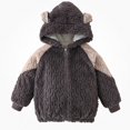 thumbnail image 2 of DJDLJWCJ Girls Winter Fleece Lined Jacket with Bear Ear Soft Comforty Full Zipper Warm Coat Dark Gray Size 2T, 2 of 6
