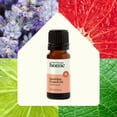 thumbnail image 3 of Plant Therapy Home Sparkling Grapefruit Laundry Essential Oil Blend 10 mL (1/3 oz) Pure, Undiluted, Wash Fragrance and Scent Enhancer, 3 of 10