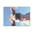 thumbnail image 3 of RYLABLUE Expression of Cattle Fleece Blankets Bed Throws 58x80 Inches, 3 of 3