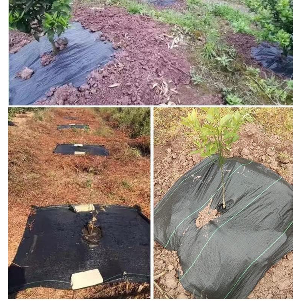 20PCs Expert Weed Barrier Fabric Water Pervious Gardening Mat Protects Bushes From Bushes Permanent Nonwoven Substance
