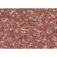 thumbnail image 1 of Ahgly Company Machine Washable Indoor Rectangle Transitional Peru Brown Area Rugs, 3' x 5', 1 of 7