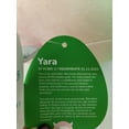 thumbnail image 6 of Squishmallows Yara the Rainbow Yeti 8" Stuffed Plush, 6 of 6