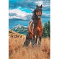 thumbnail image 1 of Taladro de pintura de diamante (DE4534) 5D DIY caballo bordado completo animales imagen mosaico 20X30cm Hugtrwg Para estrenar, 1 of 1