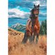 thumbnail image 2 of Cuadros Decorativos 5D DIY diamante pintura caballo taladro completo bordado cruz puntada arte imágenes DQrwqpou Nuevos Originales, 2 of 9