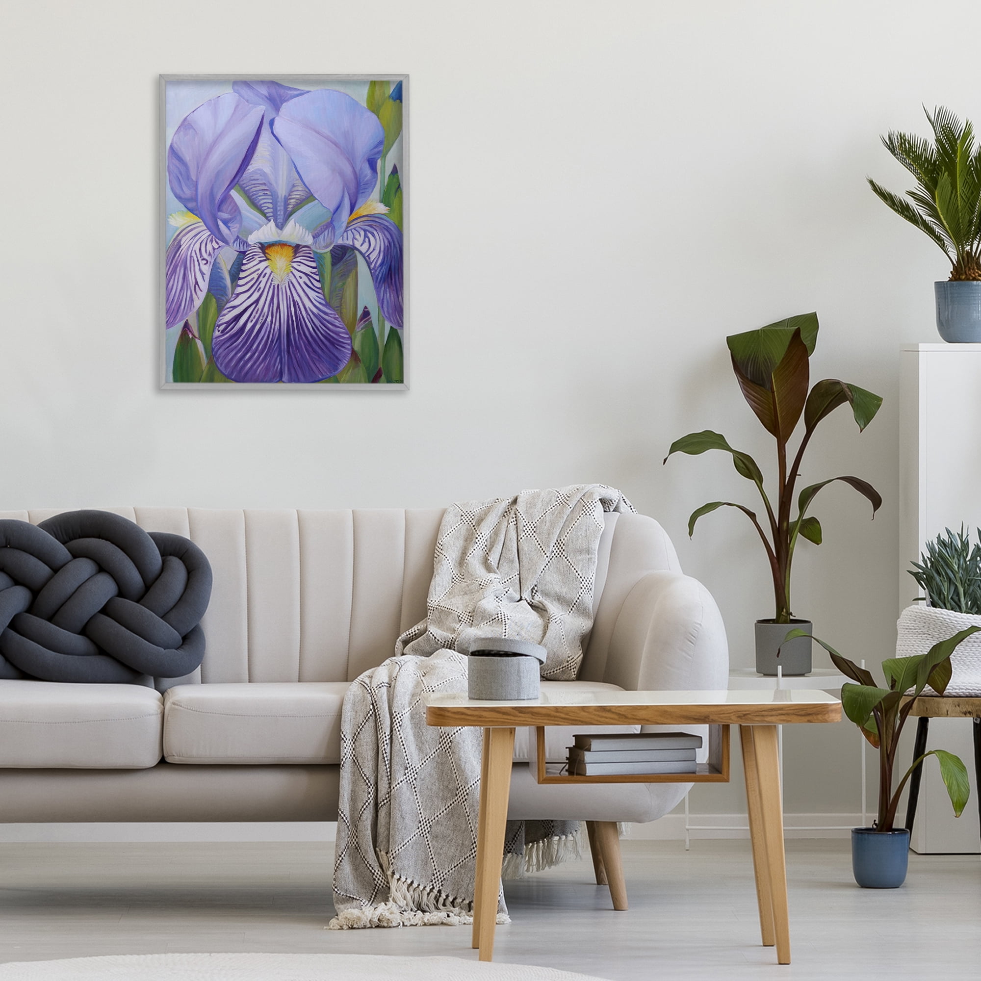 Stupell Industries Blooming Purple Iris Petals Gray Framed Giclee Art, design by Violeta Vollmer
