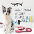 thumbnail image 5 of Regal Dog Products Reflective Standard Collar and 5ft Leash Set, 5 of 8