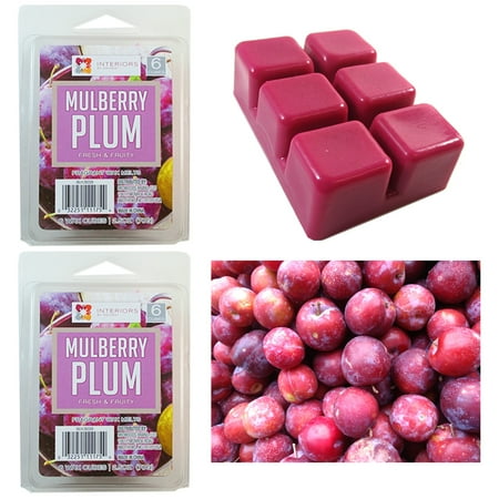 - 2 Pack Cube Plum Wax Melts Candle Warmers Scented Fragrance 2.5oz Aroma Therapy