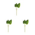 thumbnail image 4 of Cateissary Plantas de hojas de palma artificiales de PU - Decoración no tóxica para cualquier ocasión Cómodo al tacto Asarum máximo Type1 NO1, 4 of 6