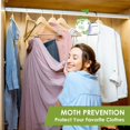 thumbnail image 6 of nobrand Moth Traps for Clothes, Closets, Fabrics, and Carpets, Clothing Moth Traps, Clothes Moth Traps, Closet Moth Traps, Moth Pheromone Traps, Extra-Strength Adhesive Glue Clothes Moth Trap, 6 Pack, 6 of 12