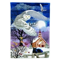 Carolines Treasures PRS4013CHF Owl Halloween Moon Flag Canvas House Size  Large multicolor