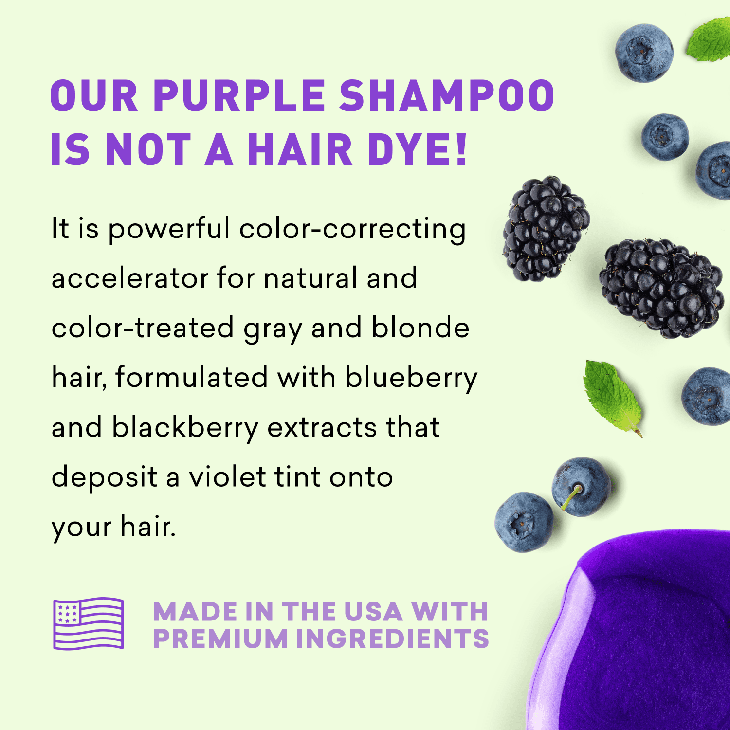 Just Nutritive Purple Hair Shampoo, Gray, White, Silver, Bleached Hair - Neutralizes Brassiness, Sulfate-Free, 8 oz