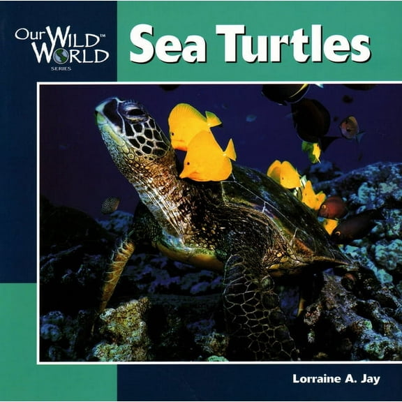 Our Wild World: Sea Turtles (Paperback)