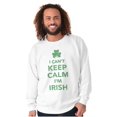 thumbnail image 5 of Funny St Pattys Keep Calm I'm Irish Sweatshirt for Men or Women Brisco Brands M, 5 of 6