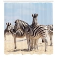 thumbnail image 3 of Ambesonne Zebra Shower Curtain, Namibia Africa Animals View, 69"Wx75"L, Pale Blue Beige and Black, 3 of 3