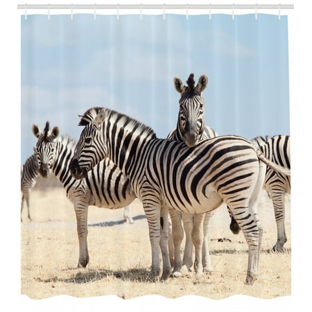 Wildlife Shower Curtain Three Zebras In Namibia National Park