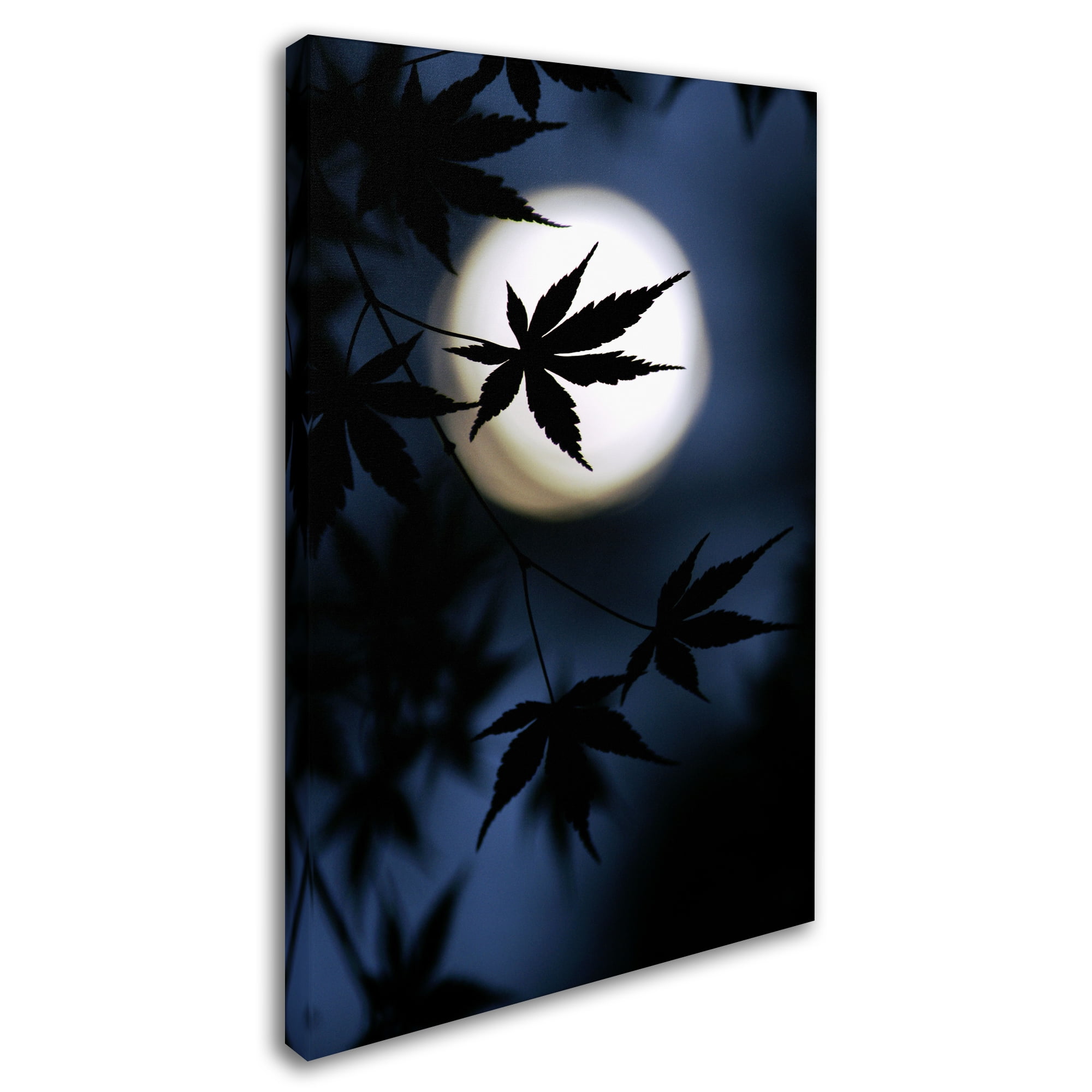 Trademark Fine Art 'Color Of Japan' Canvas Art by Kouji Tomihisa