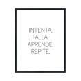 thumbnail image 1 of Cuadro 11X14 Mate Intenta Falla, 1 of 5