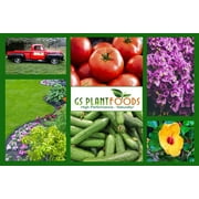 Soft Soil Liquid Soil Aerator & Lawn Treatment to Fix Compacted Soils, Improve Drainage with Non-Mechanical Liquid Application. 1 Quart (32 oz)