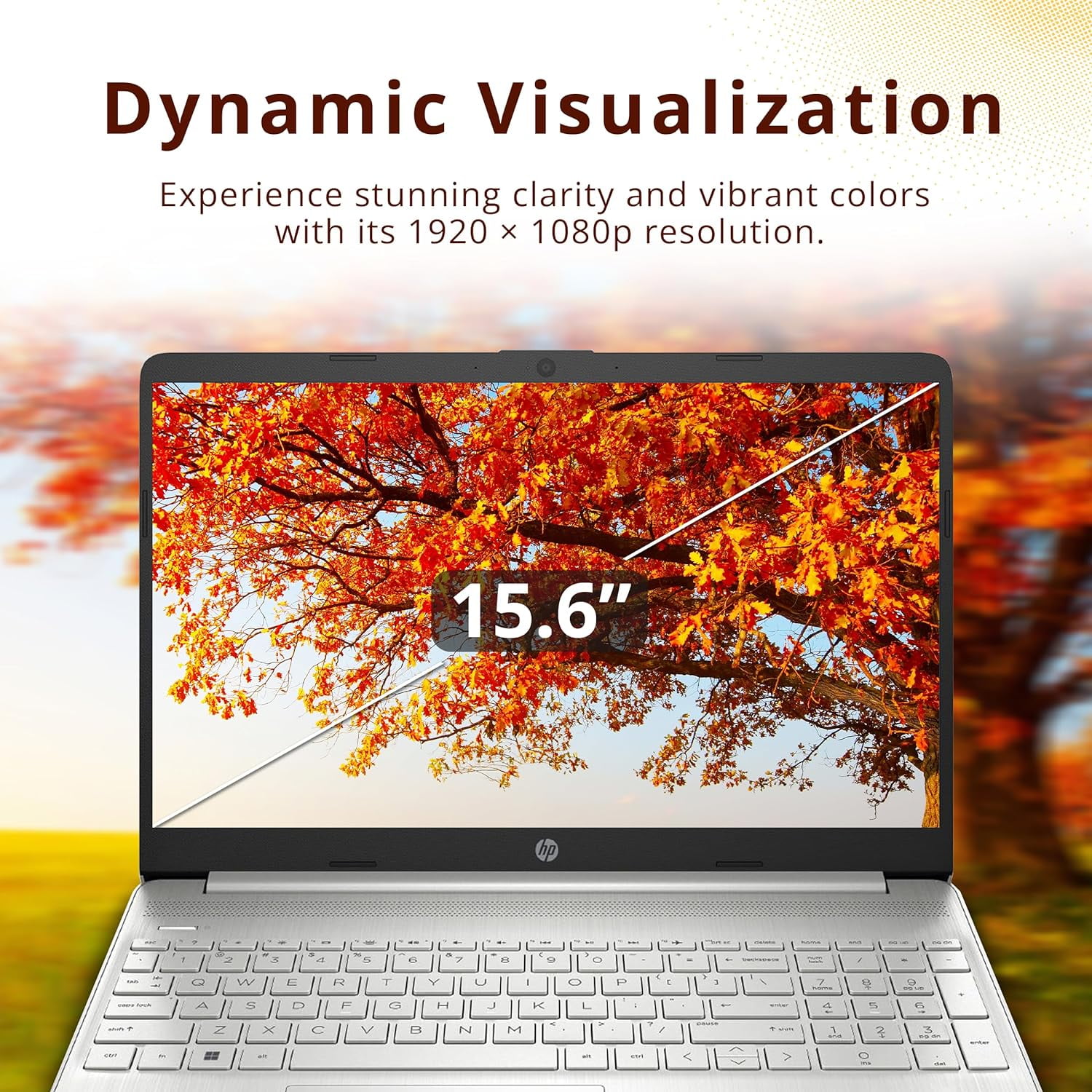 HP Pavilion 15.6