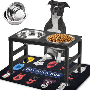 SHAINFUN Metal Elevated Dog Bowl Stand 10 Inch