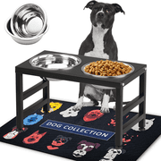 SHAINFUN Metal Raised Dog Bowl Stand for Dogs, Elevated Dog Bowls with Sprill Proof Mat, Dog Food & Water Bowls 10" Tall Dog Feeder